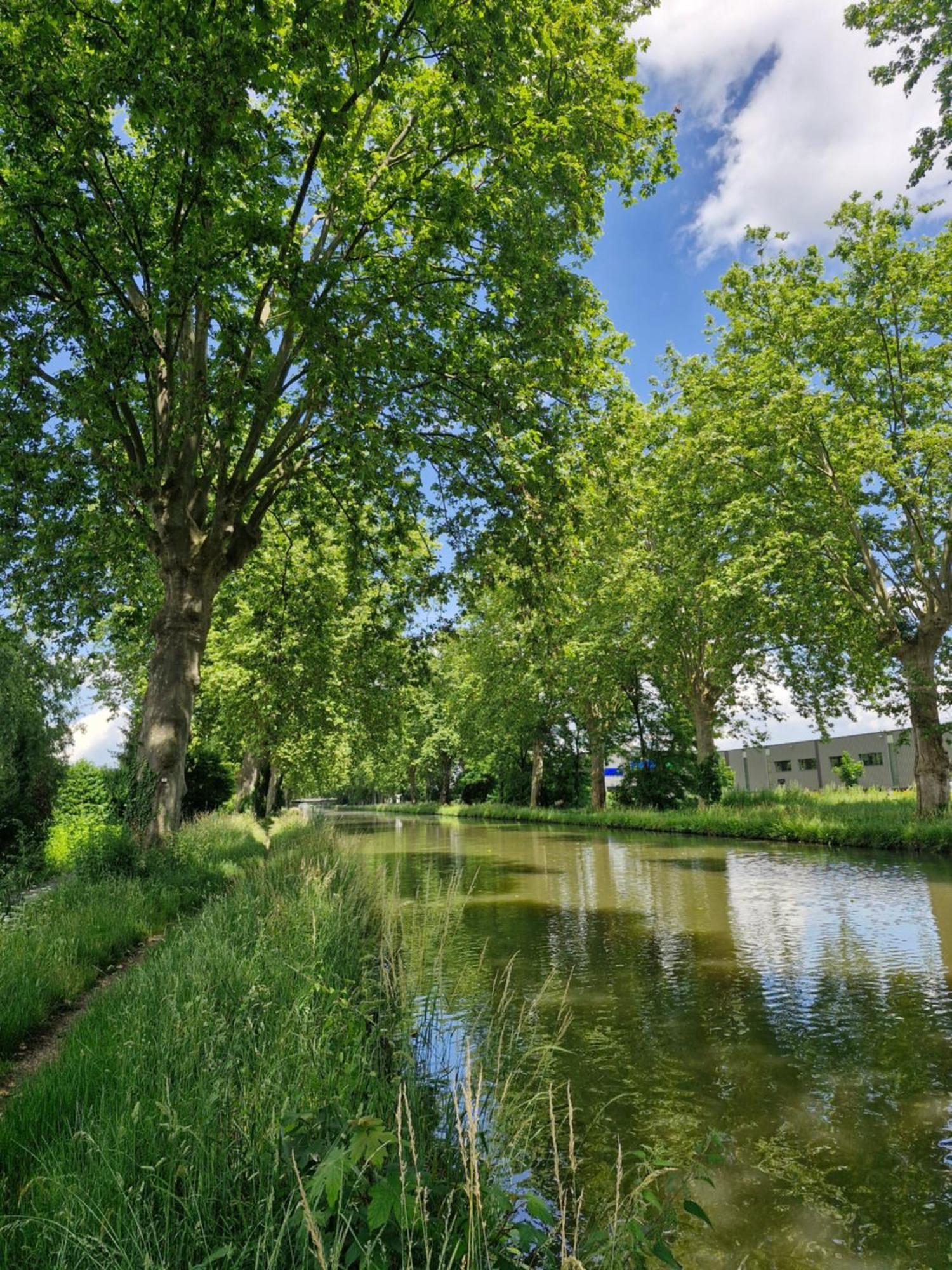 Gite-Appart Com' "Des Cimes Et Jardin" Illkirch-Graffenstaden ภายนอก รูปภาพ