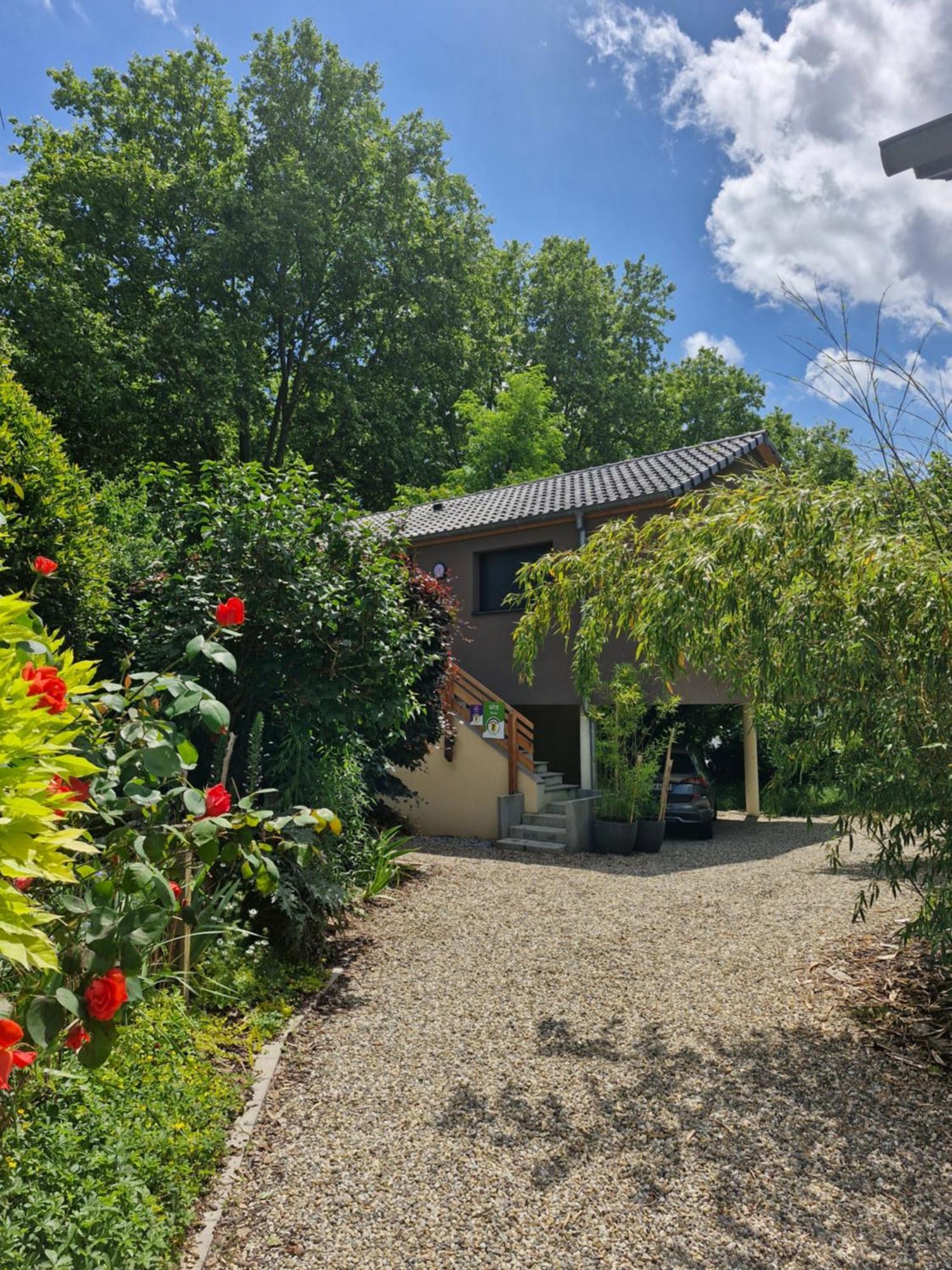Gite-Appart Com' "Des Cimes Et Jardin" Illkirch-Graffenstaden ภายนอก รูปภาพ